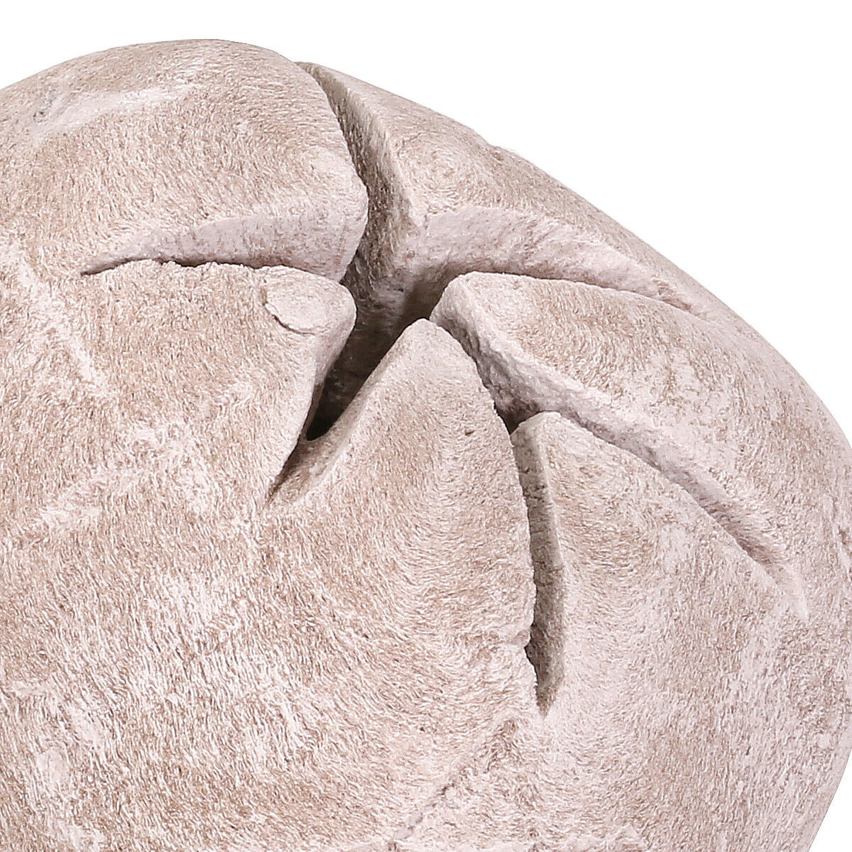 Flame Ceramic Propane Gel Ethanol Gas Fireplace Fire Pit Logs Skull Light Beige - Fresh Stock Dated January 2026