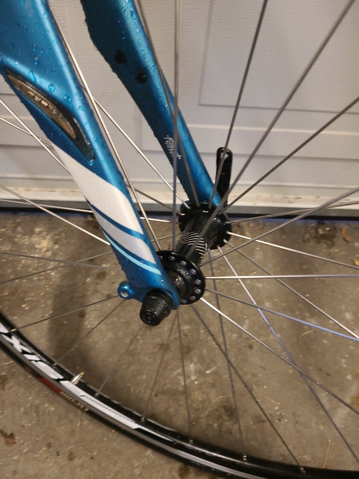 SPECIALIZED DOLCE SPORT COMPACT  (51cm) VERY LIGHTWEIGHT - Fresh Stock Dated December 2025