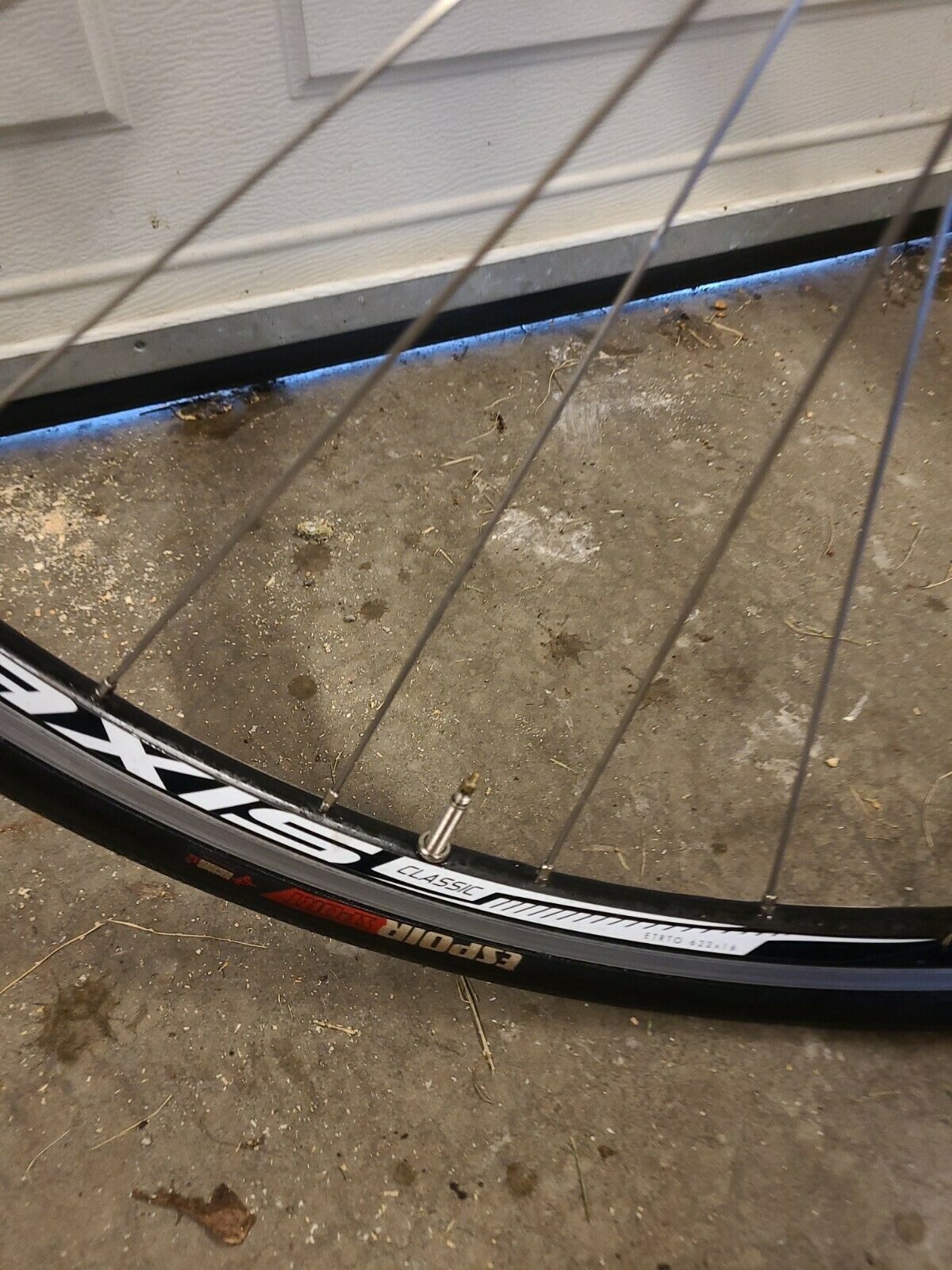 SPECIALIZED DOLCE SPORT COMPACT  (51cm) VERY LIGHTWEIGHT - Fresh Stock Dated December 2025