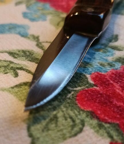 Vintage CUTCO Paring Knife #20 Stainless 2” Blade Wooden Handel Made in USA Nice - Fresh Stock Dated January 2026