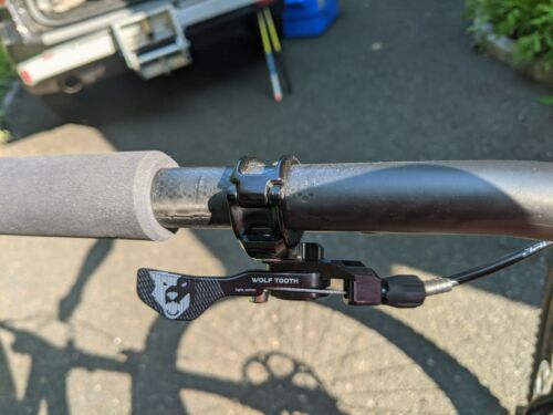 2017 Pivot Firebird - SRAM XX1, Rockshox, carbon wheels, WolfTooth, OneUp V2 - Fresh Stock Dated December 2025