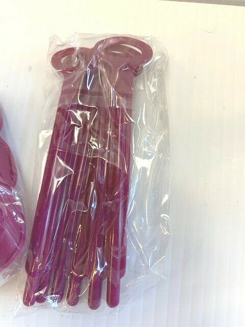 Betchsicles Champagne Ice Pop Molds by Betches x FabFitFun for Juice or Booze D1 - Fresh Stock Dated February 2026