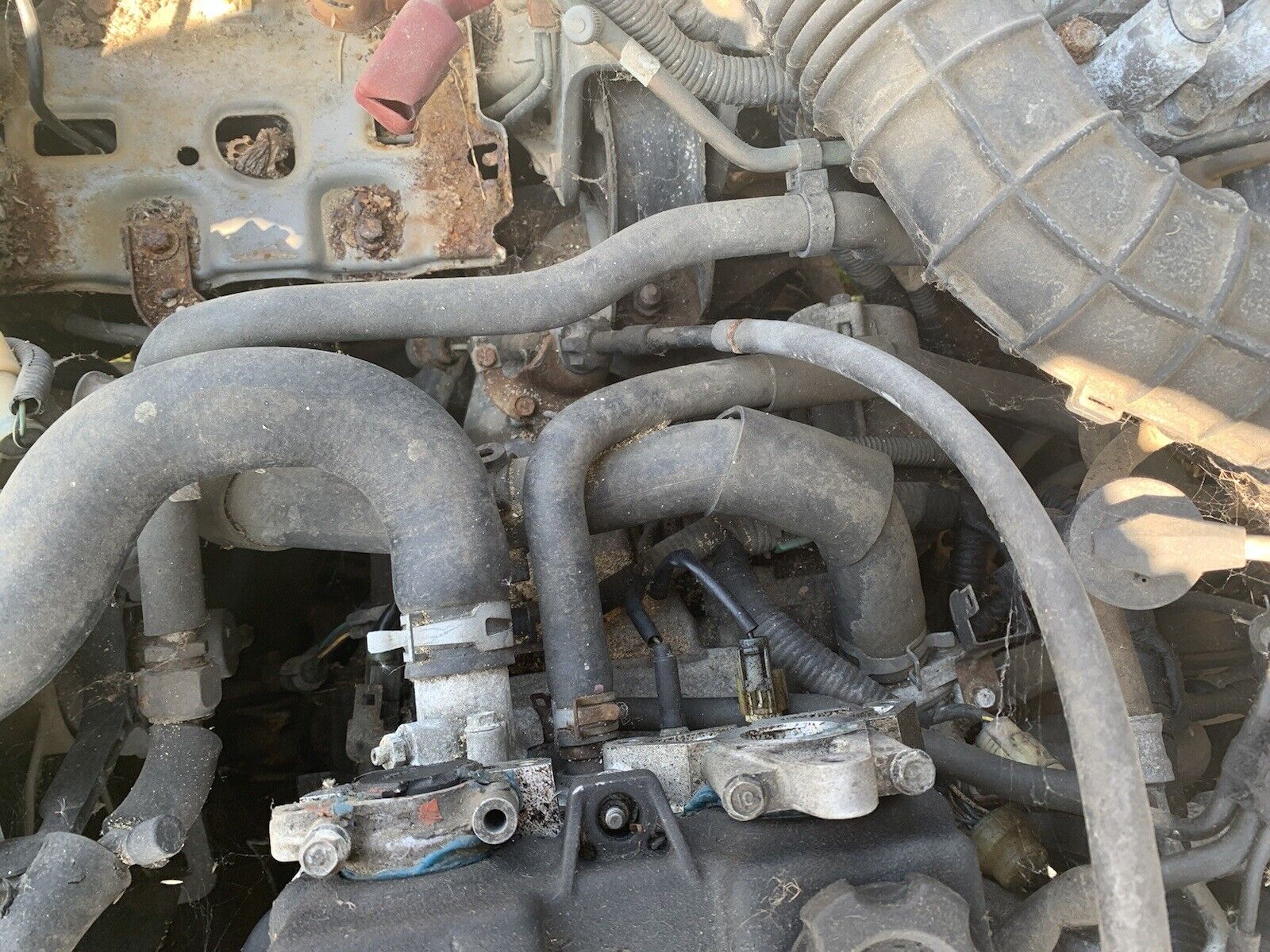 1990-1991 Acura Integra GS 5 Speed Manual Transmission - Fresh Stock Dated December 2025