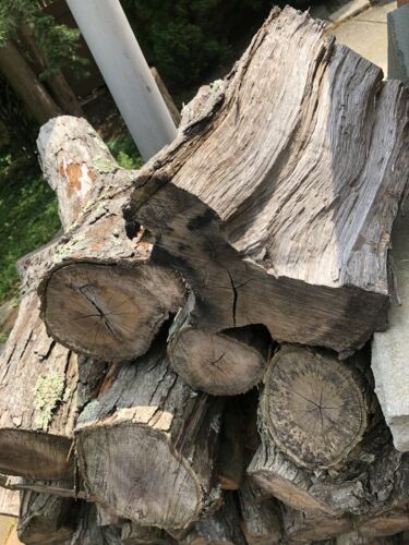 firewood white oak - Fresh Stock Dated December 2025