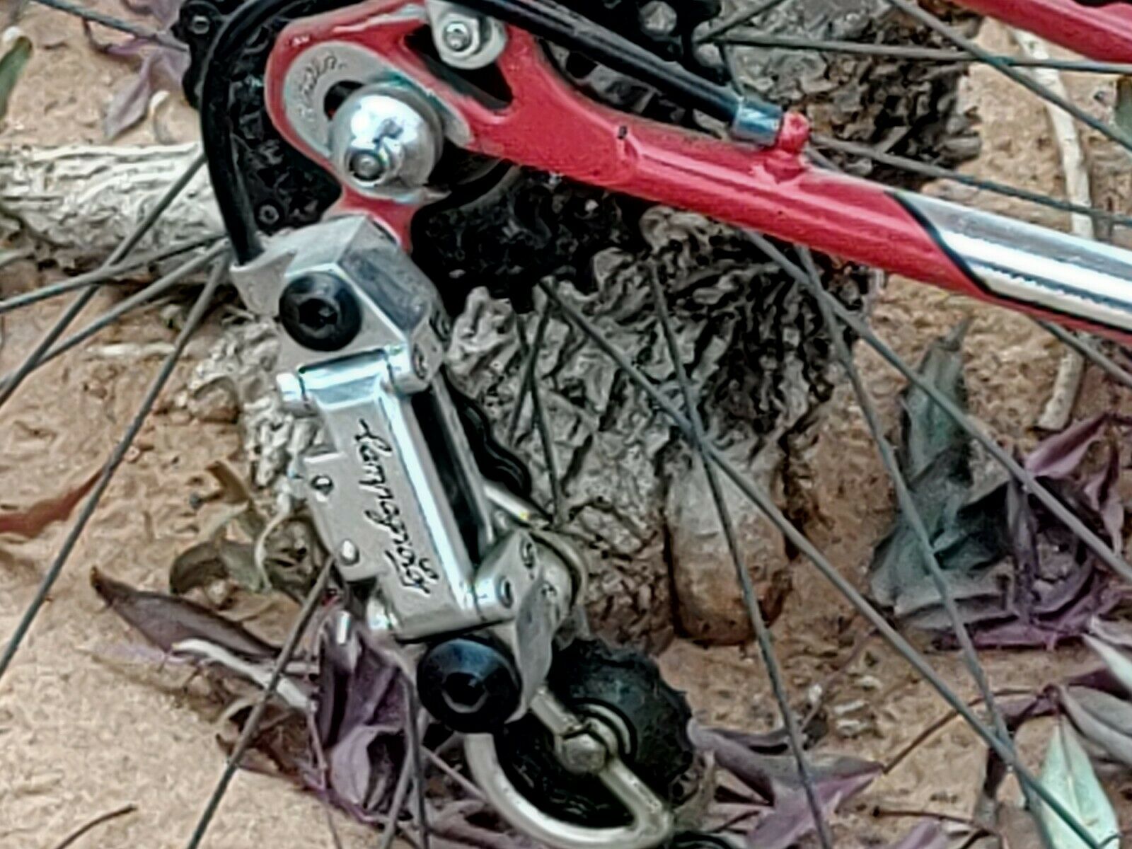 ATALA SPORT ROAD RACER BIKE - Fresh Stock Dated December 2025