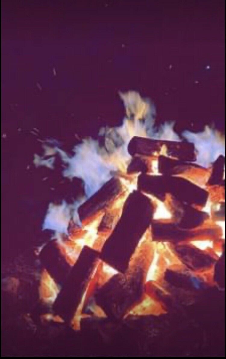 Hedge Firewood - Fresh Stock Dated January 2026