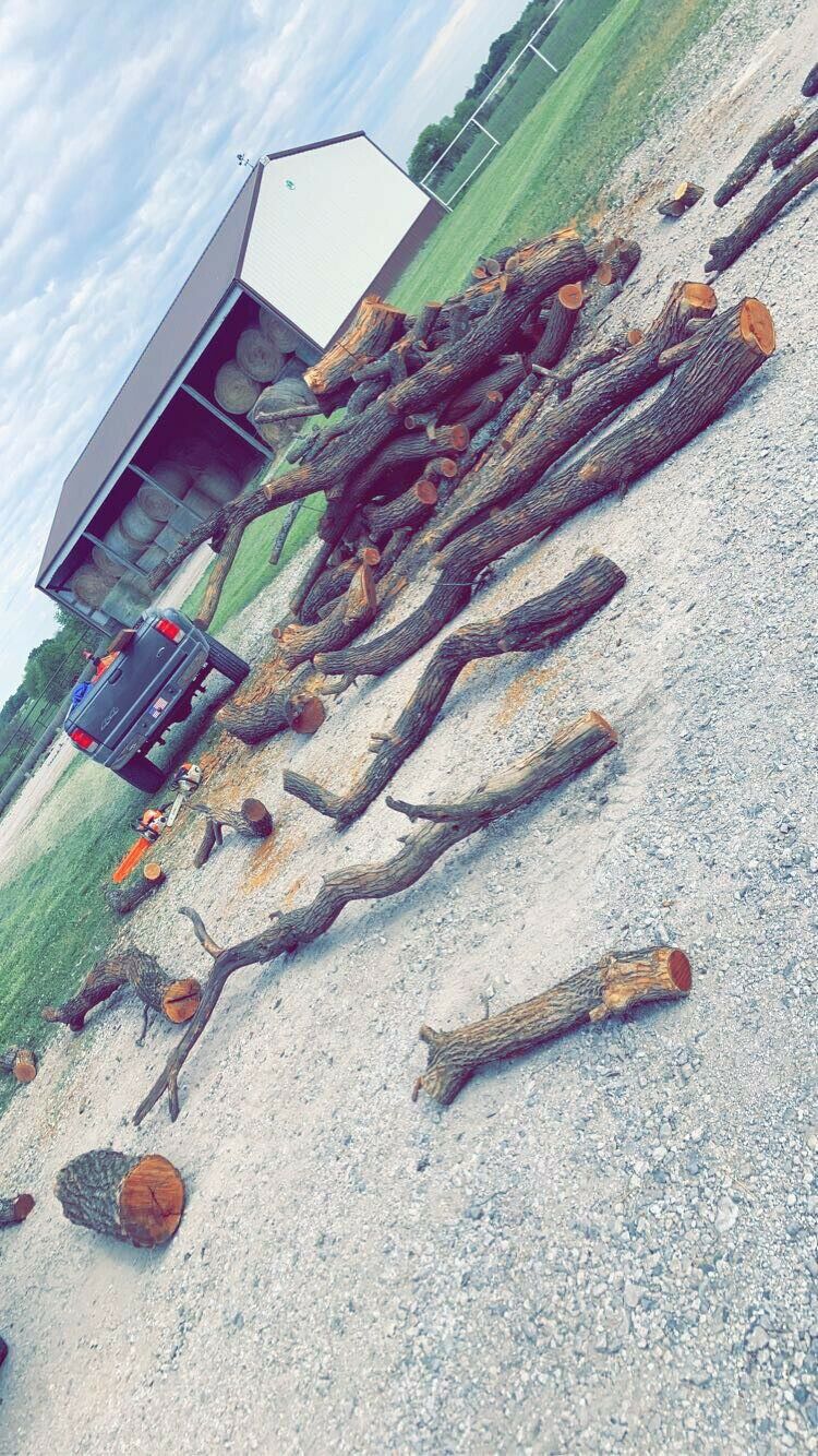 Hedge Firewood - Fresh Stock Dated January 2026