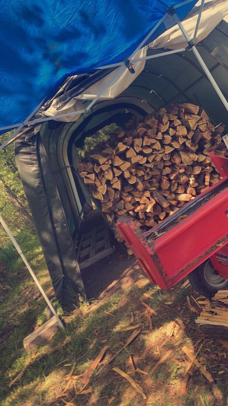 Hedge Firewood - Fresh Stock Dated January 2026