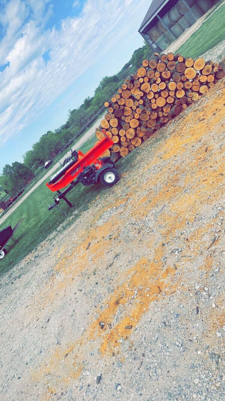 Hedge Firewood - Fresh Stock Dated January 2026