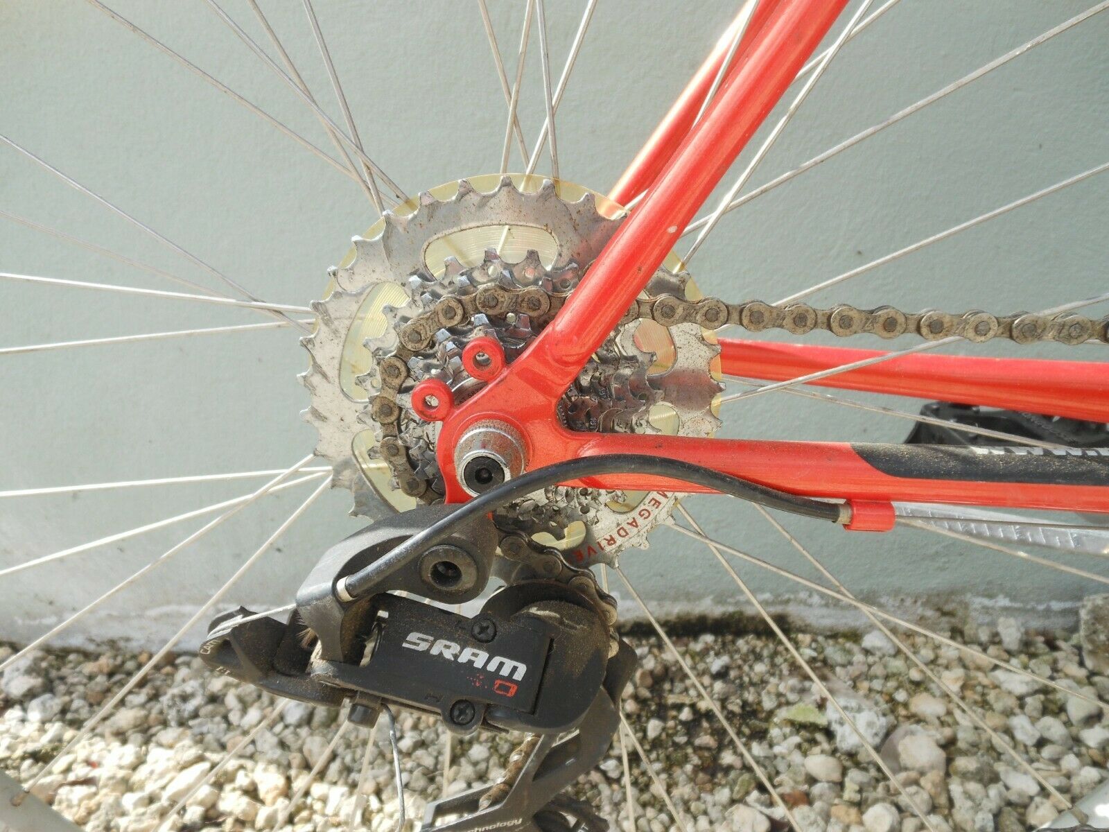 Bianchi Avenue Bike - Fresh Stock Dated December 2025