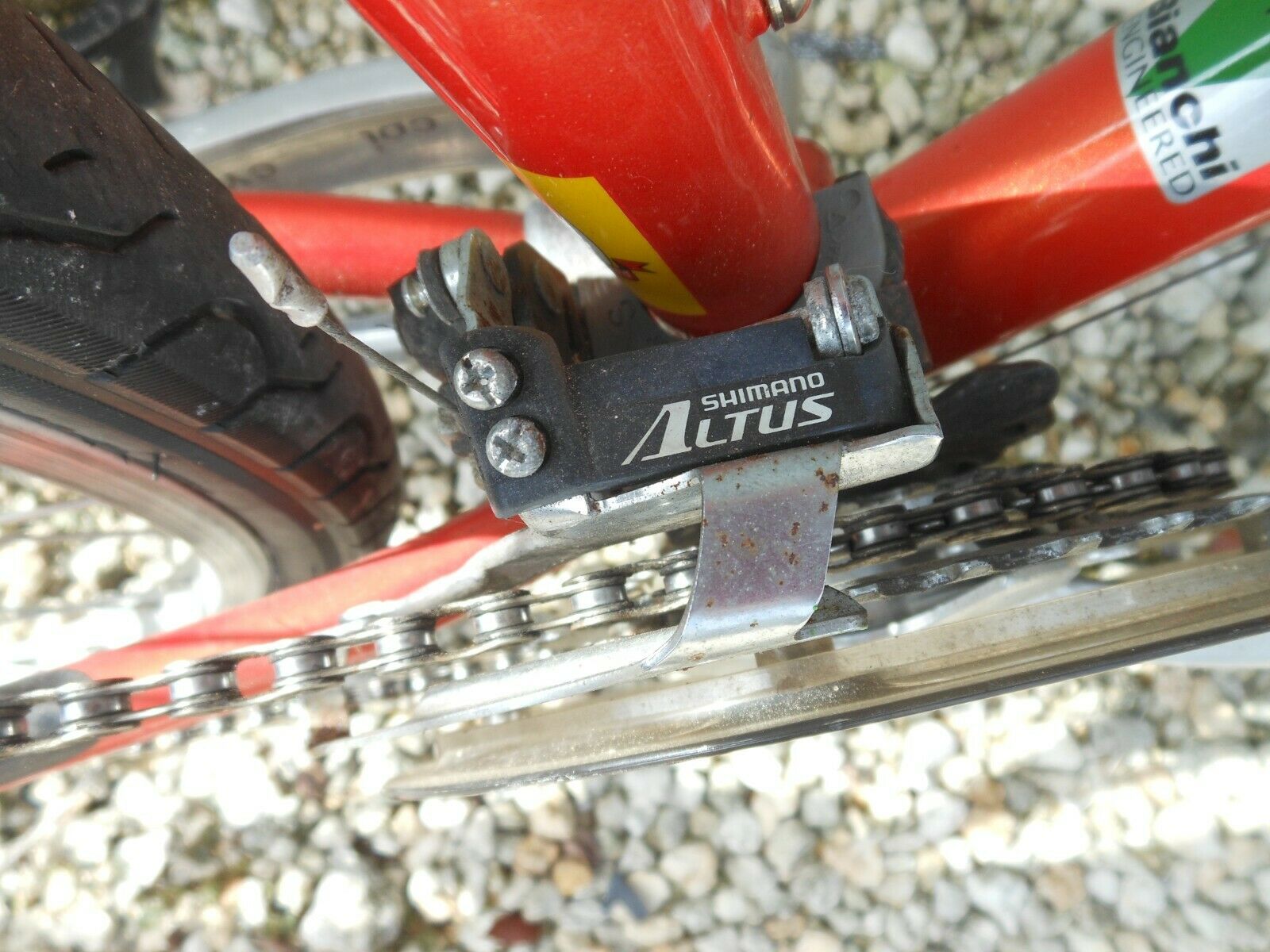 Bianchi Avenue Bike - Fresh Stock Dated December 2025