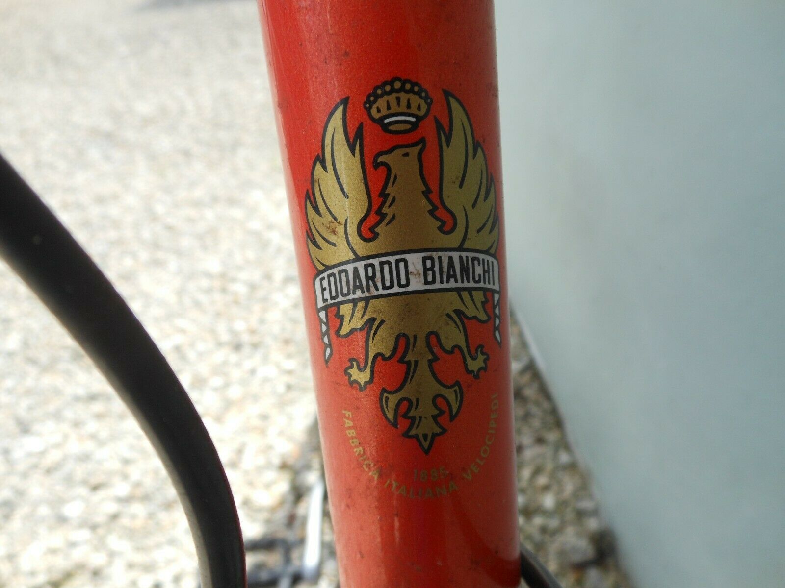 Bianchi Avenue Bike - Fresh Stock Dated December 2025