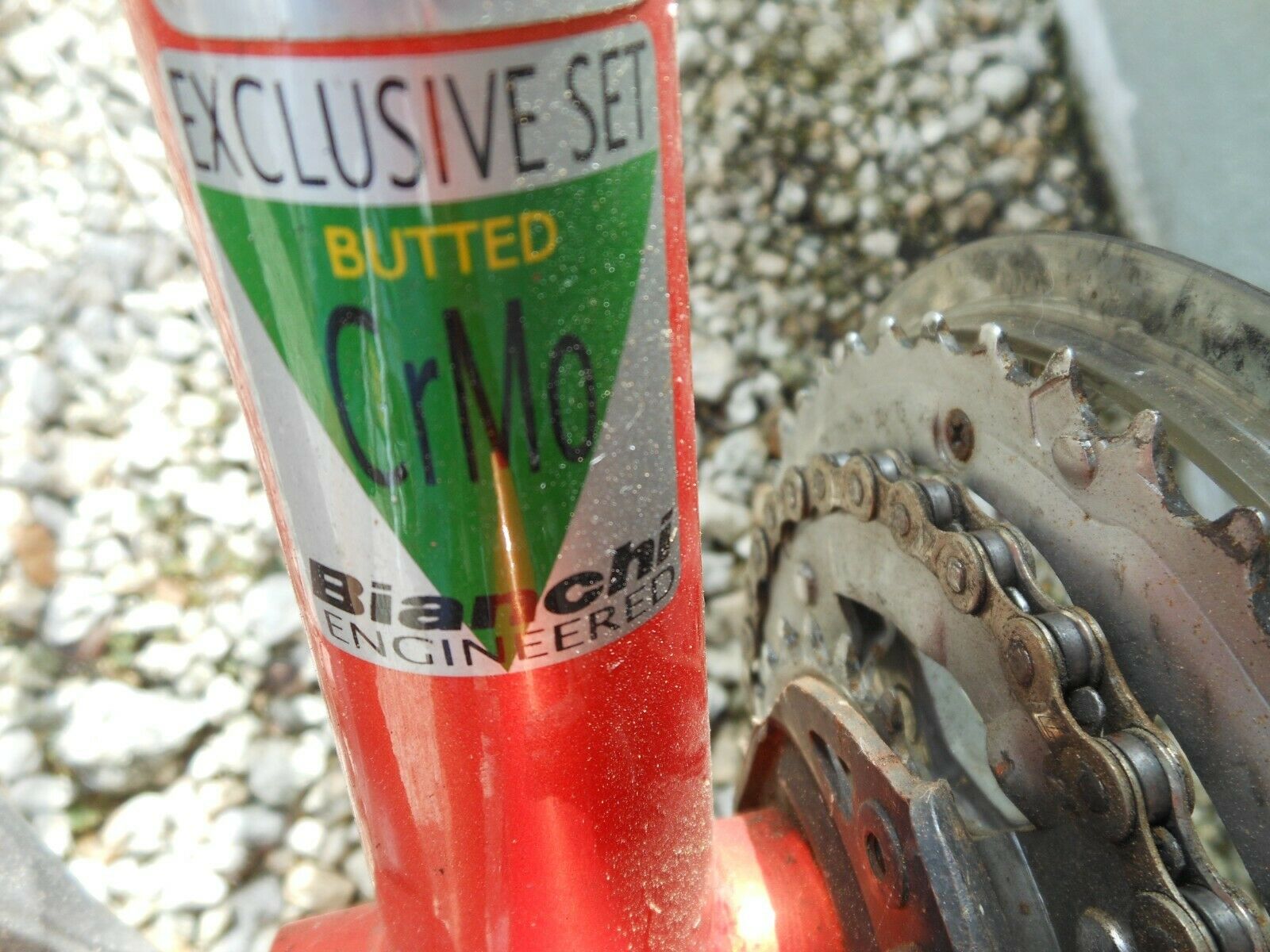 Bianchi Avenue Bike - Fresh Stock Dated December 2025