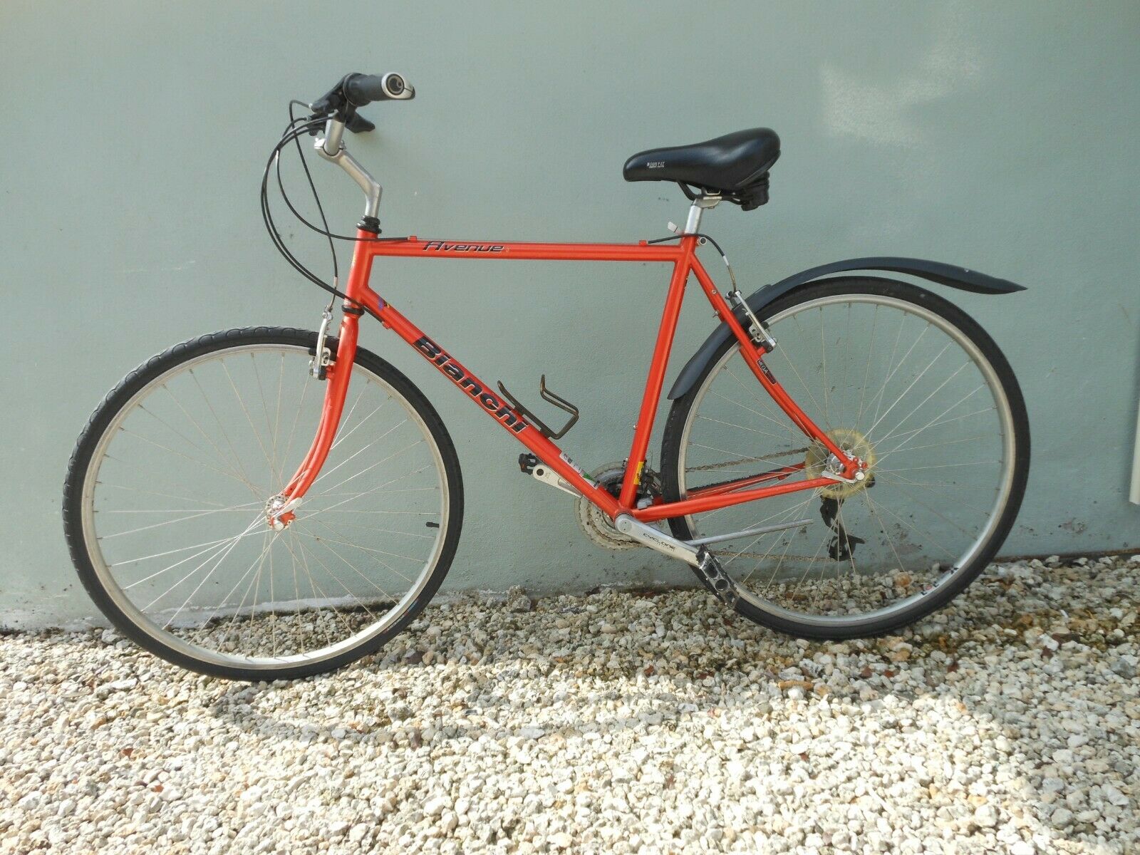 Bianchi Avenue Bike - Fresh Stock Dated December 2025