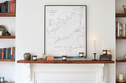 Paddywax Candles TRL12 Library Collection Louisa May Alcott 2-Wick Scented Travel Tin Candle, 3.5-Ounce, Cherry Blossoms & Ivy