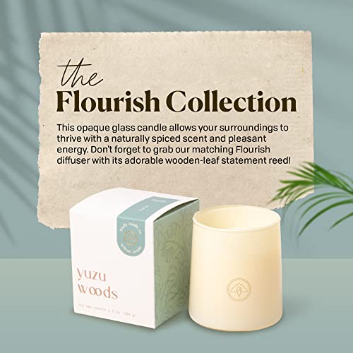 Paddywax Scented Candles Firefly Flourish Collection Fragrant Soy Wax Candle in Opaque Glass, 6.5-Ounce, Yuzu Woods