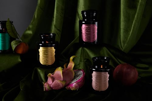 Paddywax Luxury Candles Hand-Crafted Made in The USA Apothecary Noir Scented Candle, 8-Ounce, Palo Santo