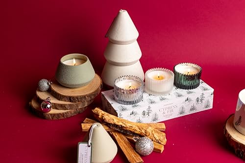 Paddywax Cypress & Fir Holiday Artisan Hand-Poured Scented Candle, (Set of 3) 2-Ounce, Mercury Glass/Frosted