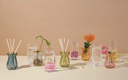 Paddywax Flora Collection Bulb Reed Diffuser, 4-Fluid Ounces, Pale Orange-Wild Neroli