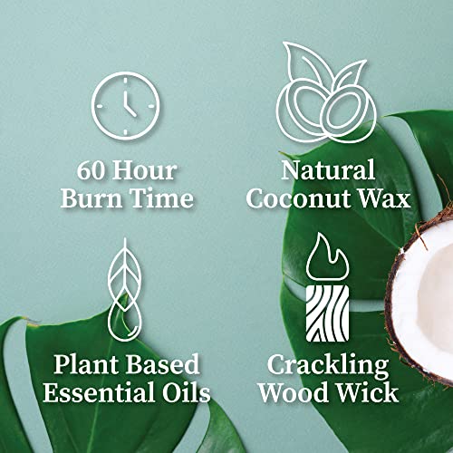 Hemlock Park Crackling Wood Wick Candle Handcrafted with Natural Coconut Wax and Essential Oils (Standard 8 oz, Blood Orange Sage)