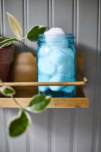 Paddywax Scented Relish Collection Soy Wax Artisan Candle in Glass Jar with Lid, 9.5-Ounce, Ocean Tide + Sea Salt