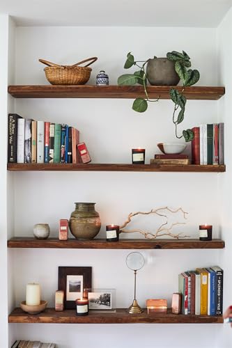 Paddywax Candles TRL12 Library Collection Louisa May Alcott 2-Wick Scented Travel Tin Candle, 3.5-Ounce, Cherry Blossoms & Ivy