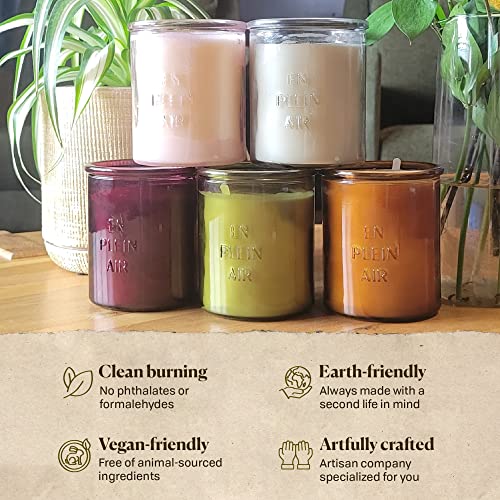Paddywax Firefly Candle Co. En Plein Air Scented Candles with Soy Wax Blend and Reusable Glass Jar for Home Fragrance and Aromatherapy - 10 Ounce, Sweet Olive Leaf, Green