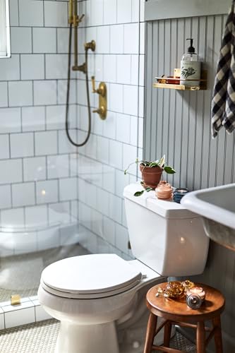 Paddywax Scented Candles Beam Glass Jar Candle with Lid Luxury Artisan, 3-Ounce, Amber - Persimmon Chestnut