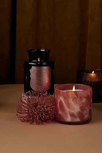 Paddywax Luxury Candles in Hand-Crafted Artisan Blown Glass Scented Luxe Candle, 8-Ounce, Saffron Rose