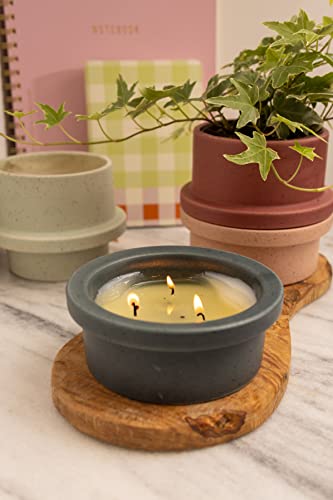 Paddywax Folia Soy Wax Scented Candle, 5-Ounce Ceramic-Jar Candle Holder, Fresh Fig & Cardamom