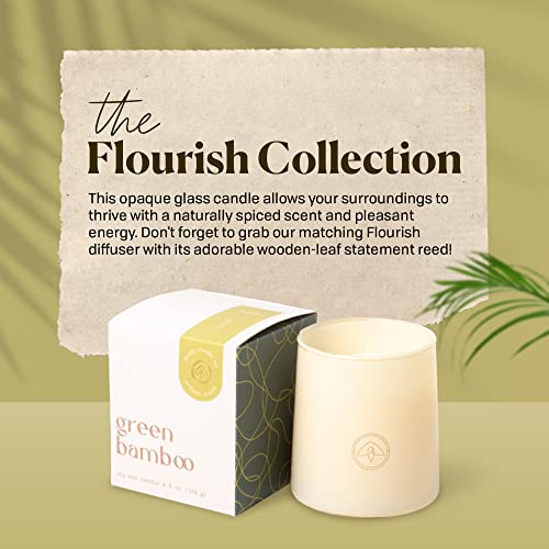 Flourish 6.5 OZ. Ivory Tapered Glass + Gold Firefly Logo in Box Packaging - Green Bamboo