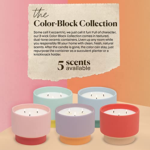 Paddywax Color Block Artisan Hand-Poured Scented Candle, 16-Ounce, Pink/Coral - Sparkling Grapefruit