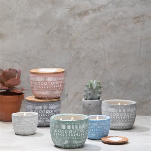 Paddywax Scented Candles Desert-Inspired Sonora Range Candle in Reusable Etched Concrete Pot with Wooden Lid, 283g - 3-Wick, Bergamot & Fresh Fig