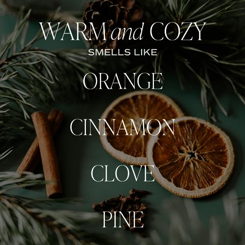 Sweet Water Decor Warm and Cozy Candle | Pine, Orange, Cinnamon, and Fir Winter Scented Soy Candles Fall Candle for Home | 9oz Clear Jar with Gold Foil Made in the USA
