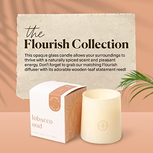 Paddywax Scented Candles Firefly Flourish Collection Fragrant Soy Wax Candle in Opaque Glass, 6.5-Ounce, Tobacco Oud