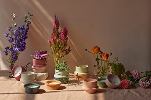 Paddywax Folia Soy Wax Scented Candle, 11.5-Ounce Ceramic-Jar Candle Holder, Salt & Sage