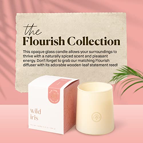 Flourish 6.5 OZ. Ivory Tapered Glass + Gold Firefly Logo in Box Packaging - Wild IRIS