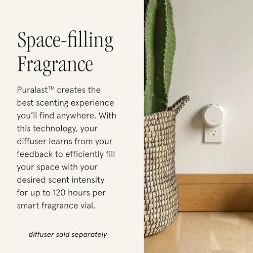 Pura & Paddywax Home Scent Refill - Smart Home Air Diffuser - Up to 120-Hours of Luxury Fragrance per Refill - Household Essential - Clean Diffuser Fragrance - 2 Pack, Tobacco & Patchouli
