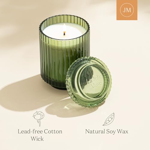 LA JOLIE MUSE Fir & Cedarwood Candle, Scented Candles for Home, Holiday Candle Gifts for Women&Men, Green Jar Candle, Natural Soy Candles, Starlit Golden Fir, 11oz