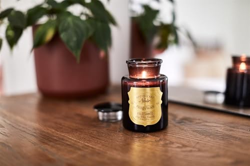 Paddywax Luxury Candles Hand-Crafted Made in The USA Apothecary Noir Scented Candle, 8-Ounce, Palo Santo