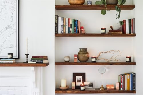 Paddywax Candles TRL12 Library Collection Louisa May Alcott 2-Wick Scented Travel Tin Candle, 3.5-Ounce, Cherry Blossoms & Ivy