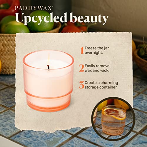 Paddywax Candles Al Fresco Collection Naturally Scented Candle in Reusable Glass Tumbler, 7 Ounces, Pepper + Plum