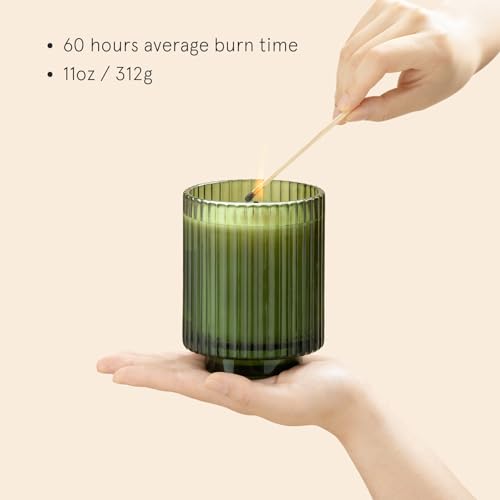 LA JOLIE MUSE Fir & Cedarwood Candle, Scented Candles for Home, Holiday Candle Gifts for Women&Men, Green Jar Candle, Natural Soy Candles, Starlit Golden Fir, 11oz