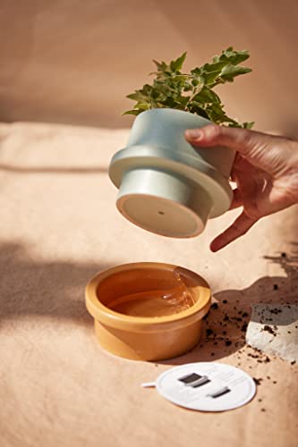 Paddywax Folia Soy Wax Scented Candle, 11.5-Ounce Ceramic-Jar Candle Holder, Salt & Sage