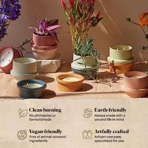 Paddywax - Bamboo & Green Tea (11.5oz) & Gardenia & Tonka (5oz) Scented Ceramic Candle Bundle, Two-Wick Wax Candles, Part of The Folia Collection, Soy Wax Blend, Hand-Poured Wax, Vegan (2-Pack)