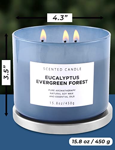 Eucalyptus Evergreen Forest Luxury 3 Wick Winter Pine Candle | Mens Candles, Scented Candles for Home | Aromatherapy Stress Relief Soy Candles 15.8 oz | Balsam Fir Woods Candles for Men & Women
