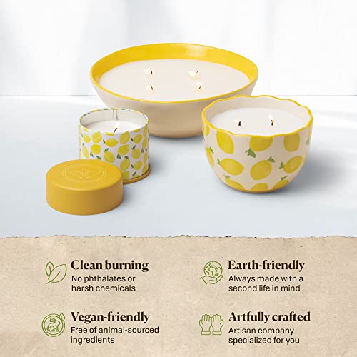 Paddywax Scented Candles Firefly Terrace Collection Soy Wax 2-Wick Candle in Food-Safe Hand-Painted Ceramic Bowl, 12-Ounce, Lemon Mint