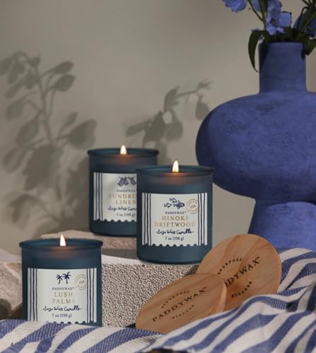 Paddywax Scented Candles Artisan Sea Glass Inspired Coastal Collection Jar Candle with Lid, 7-Ounce, Hinoki Driftwood