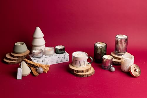 Paddywax Cypress & Fir Holiday Artisan Hand-Poured Scented Candle, (Set of 3) 2-Ounce, Mercury Glass/Frosted